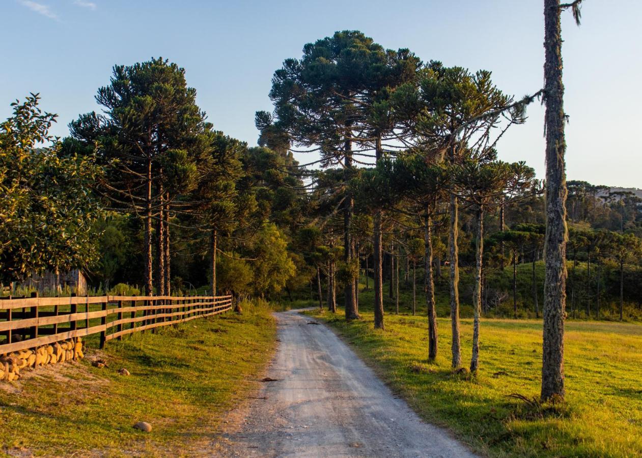 Hospedagem Rural Recanto Do Riacho Urubici Zewnętrze zdjęcie