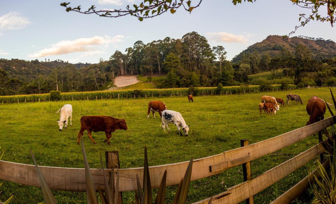 Hospedagem Rural Recanto Do Riacho Urubici Zewnętrze zdjęcie