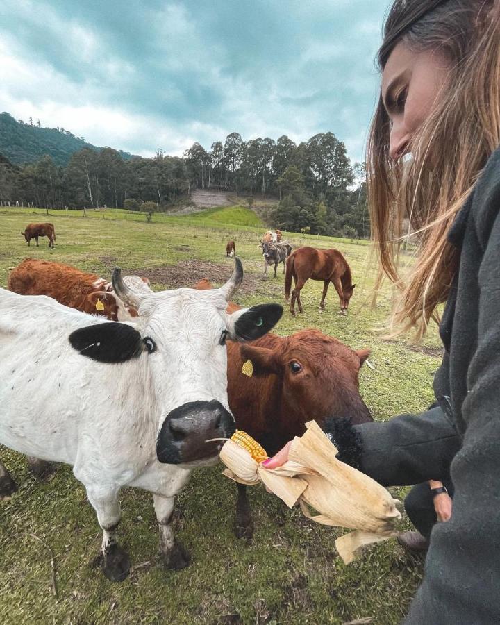Hospedagem Rural Recanto Do Riacho Urubici Zewnętrze zdjęcie
